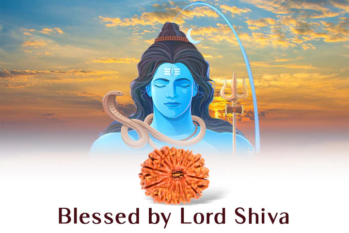 14 MUKHI RUDRAKSHA (NEPALI)(CERTIFIED)