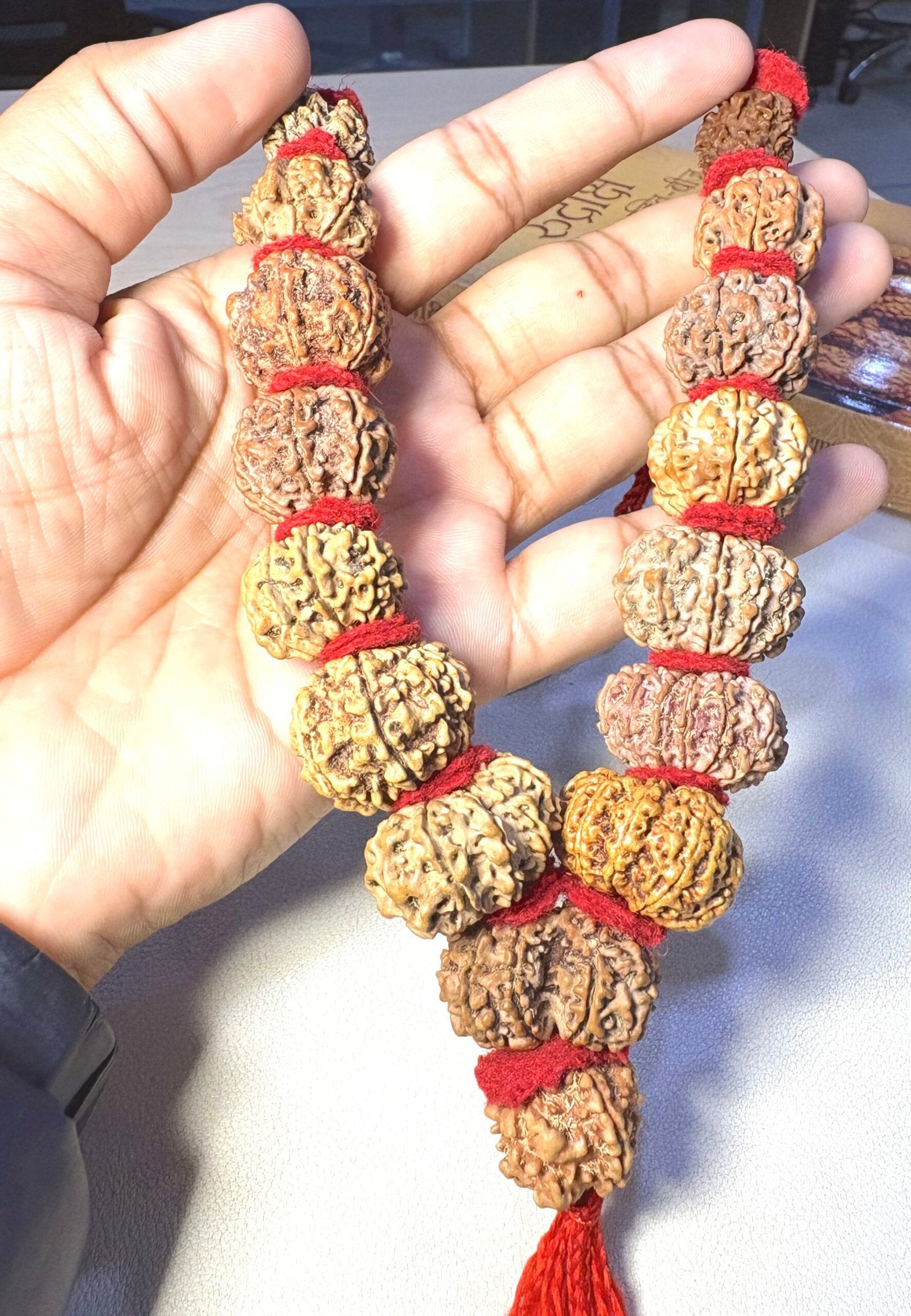 Sarva Siddhi 1 to 14 Mukhi Rudraksha Mala