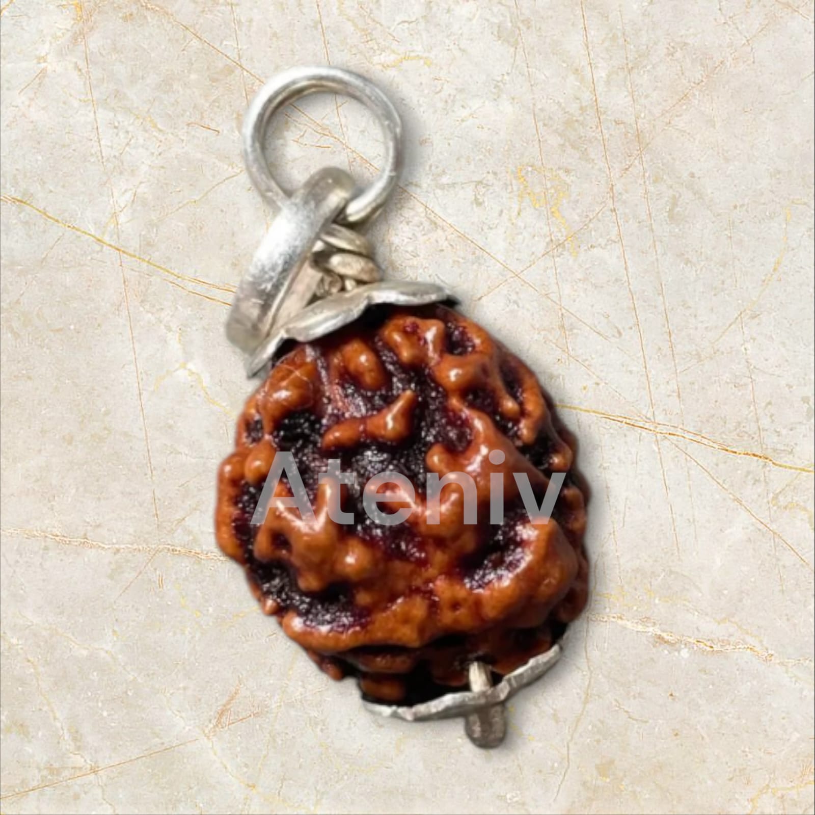 2 MUKHI RUDRAKSH ROUND (100% ORIGINAL)(NEPALI)