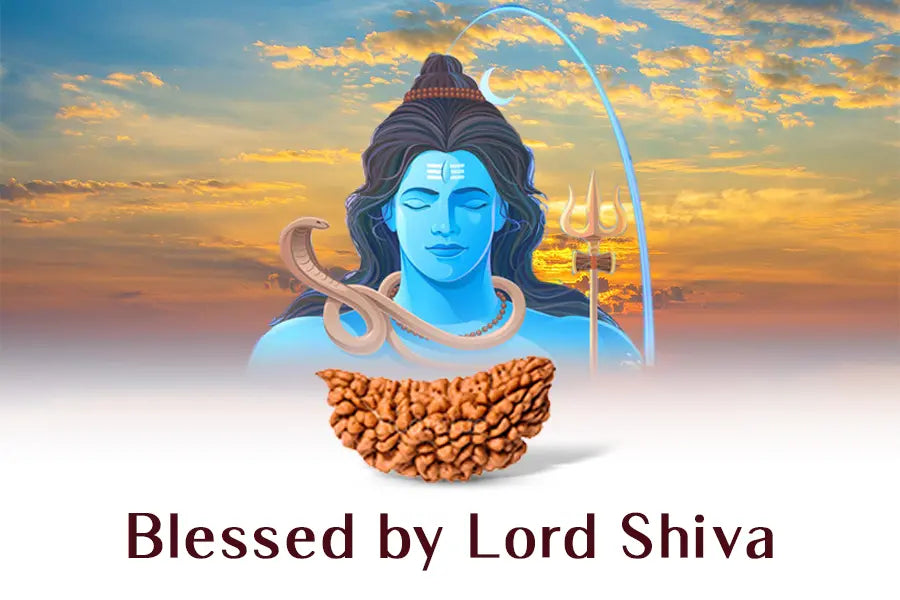 One Mukhi Super Collector Without Capping