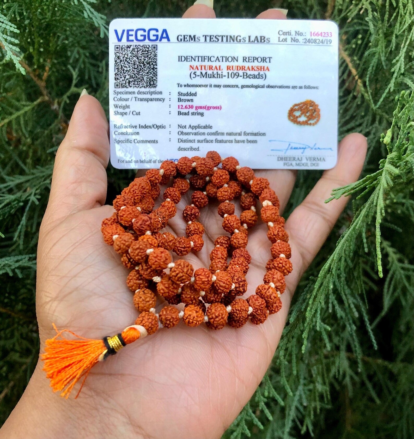 108 Beads Rudraksha Jaap Mala
