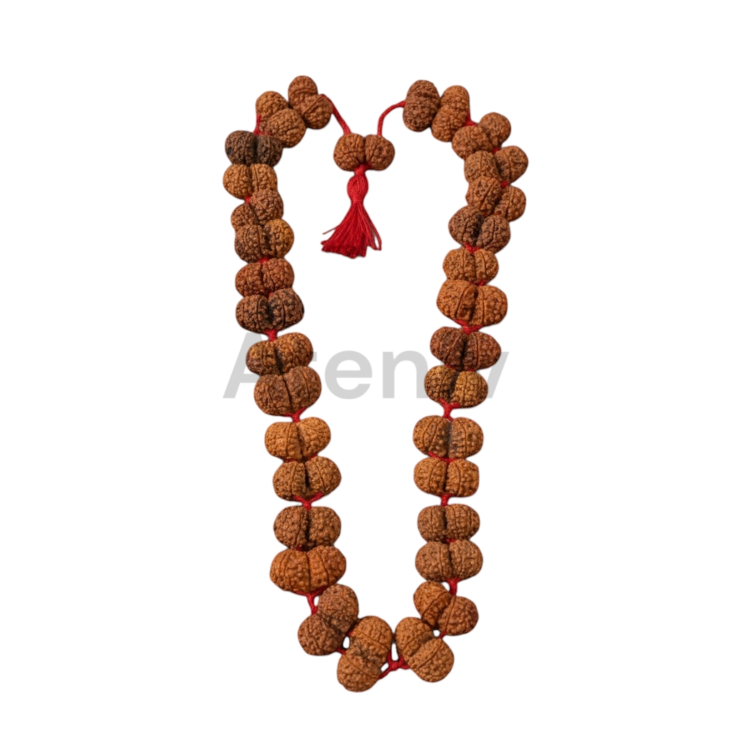 Gaurishankar Rudraksha Kantha (Nepal Origin)